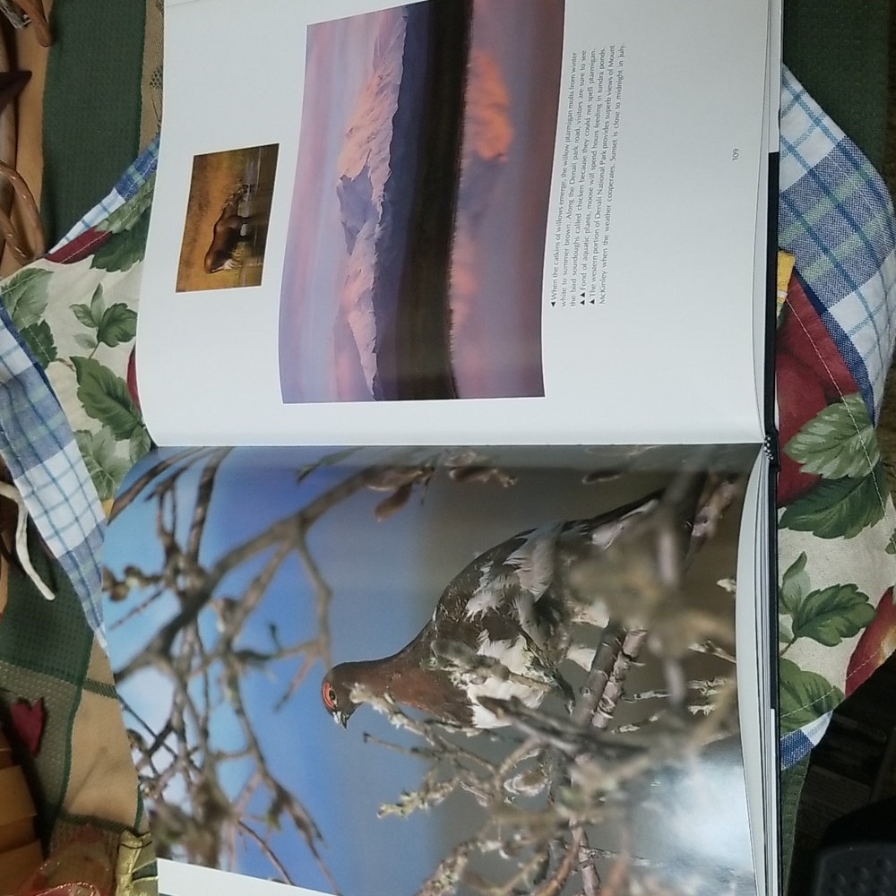 ✨ALASKA BOOK - Picture 9 of 11